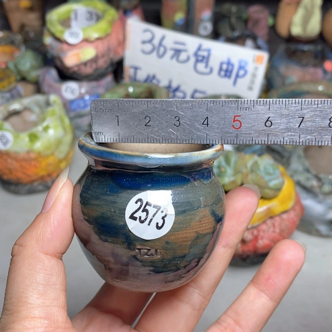 拍5送一个小礼物
