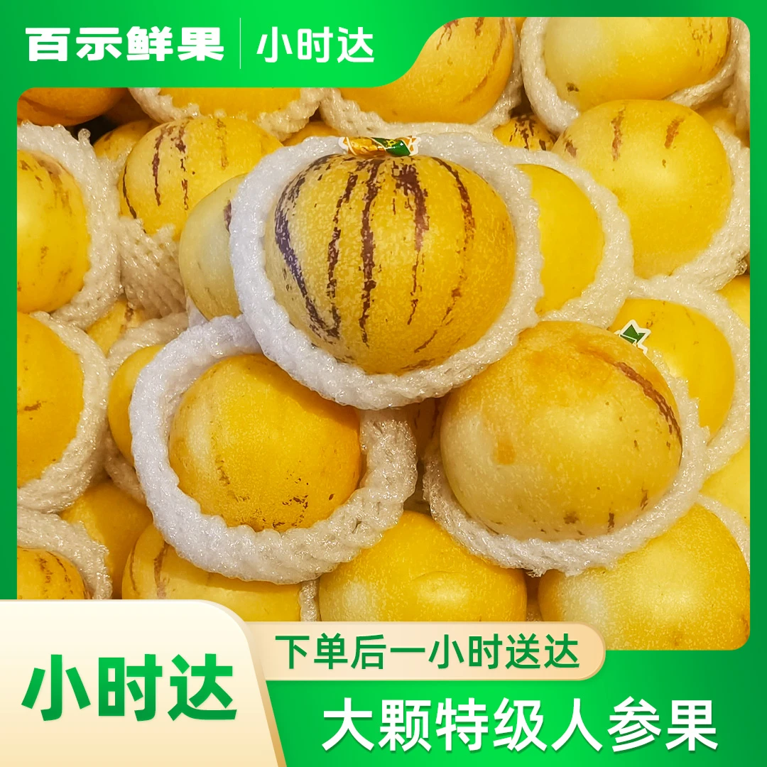 大颗特级人生果-9.9元一斤