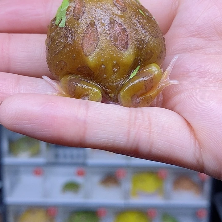 特价秒杀现货特价