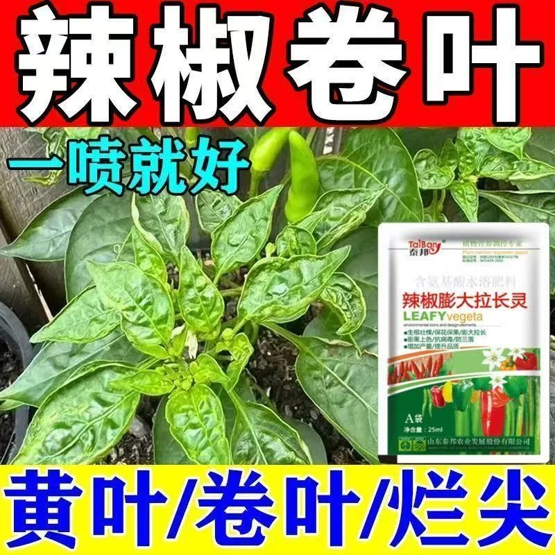 辣椒卷叶烂尖烂根专用辣椒黄叶配方卷叶落花落果辣椒增产叶面肥