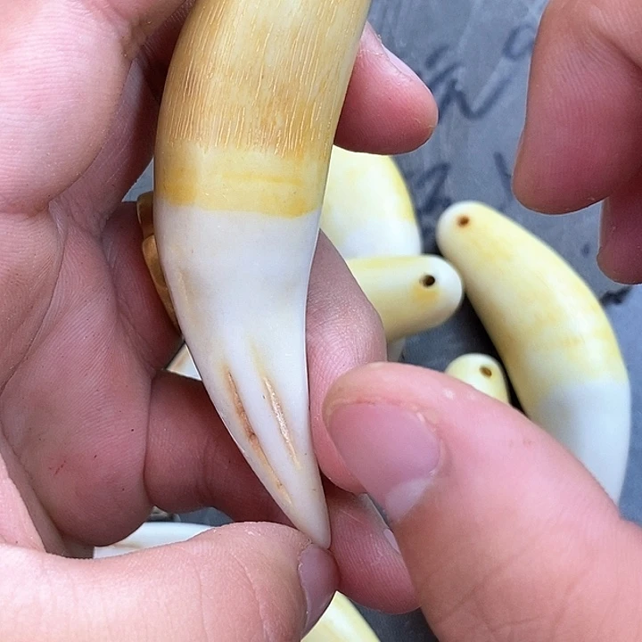 大果紫檀（缅甸花梨）93