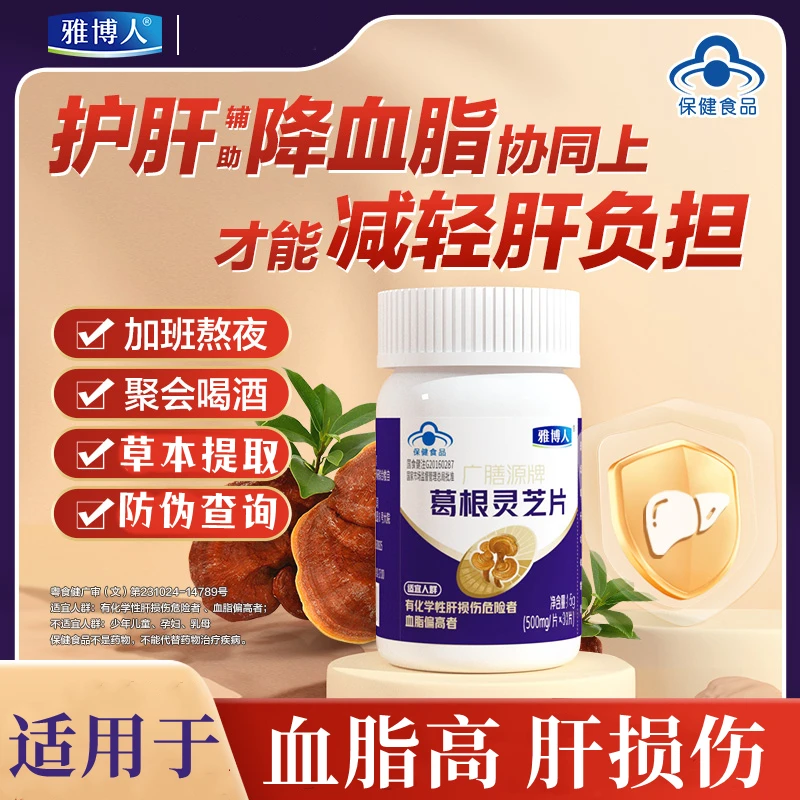 雅博人广膳源葛根灵芝片加班熬夜聚会喝酒应酬中老年常备内廷上用