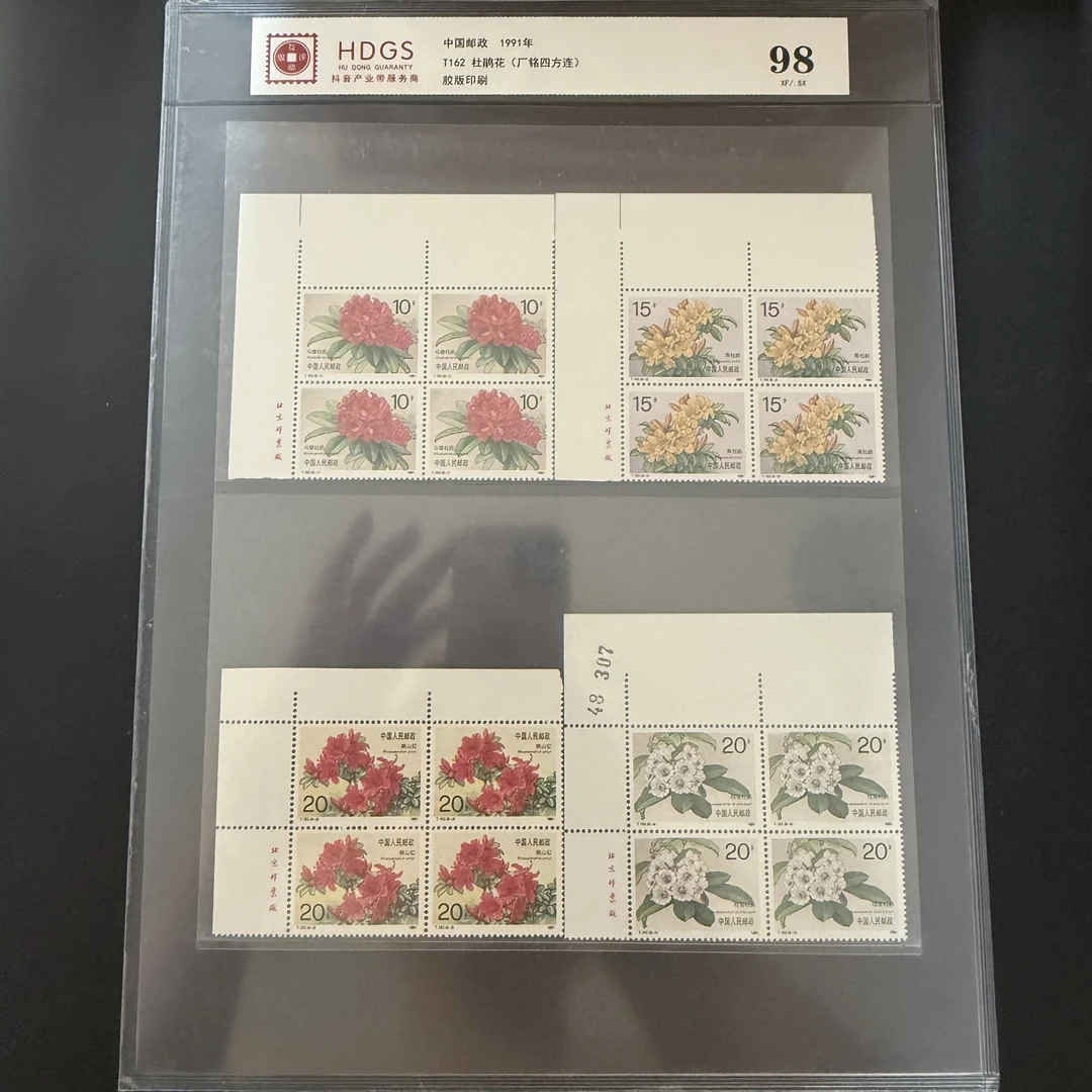T162 杜鹃花 厂铭 四方连