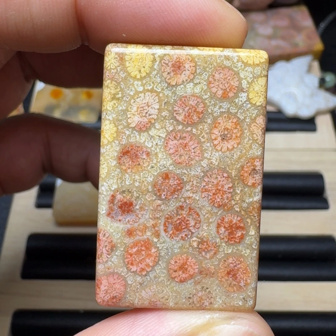 未镶嵌纯天然色有机玉石保真色硅化玉