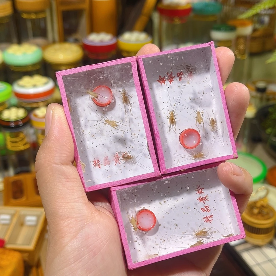 蟋蟀小黄蛉两盒送一盒（备损）