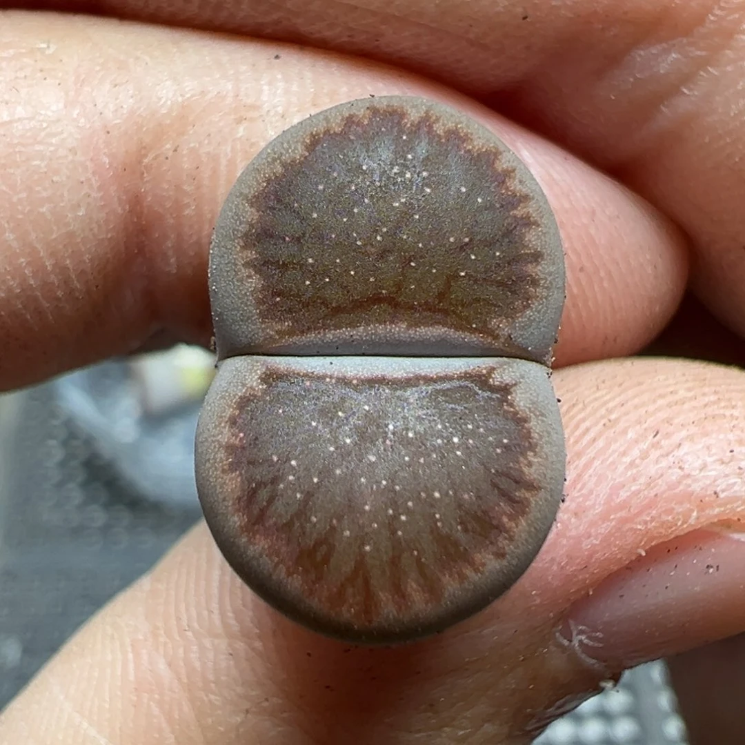 【闪购商品】1357……