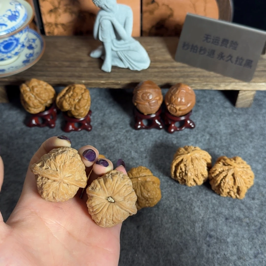 全品39.540白茬南瓜墩