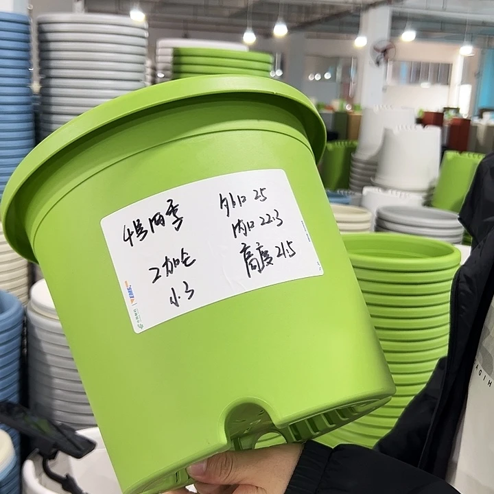 正品4四季口25高21.5果绿无托8只