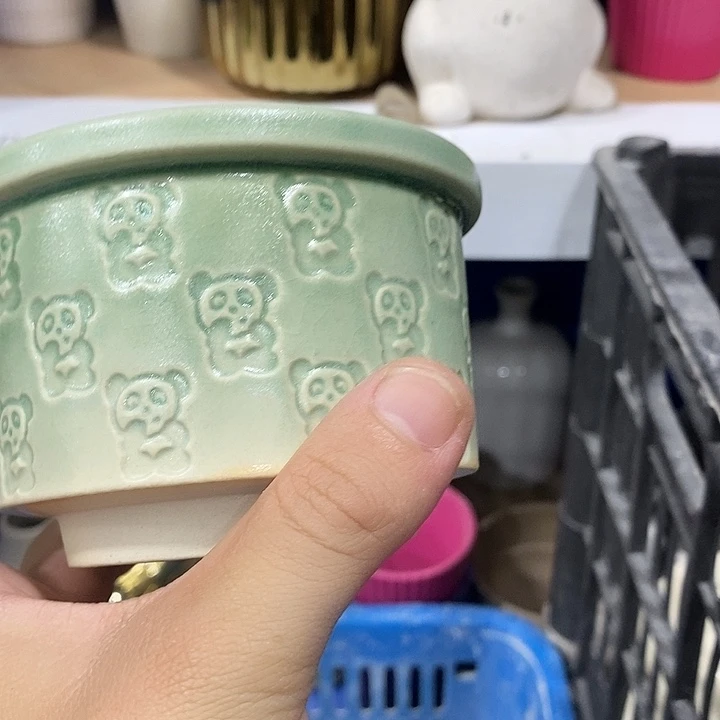 花盆抢购清货马上开始