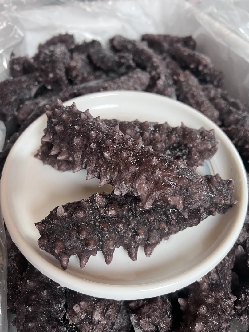 渤海湾野生海参 8-10头/斤 即食海参 微瑕参