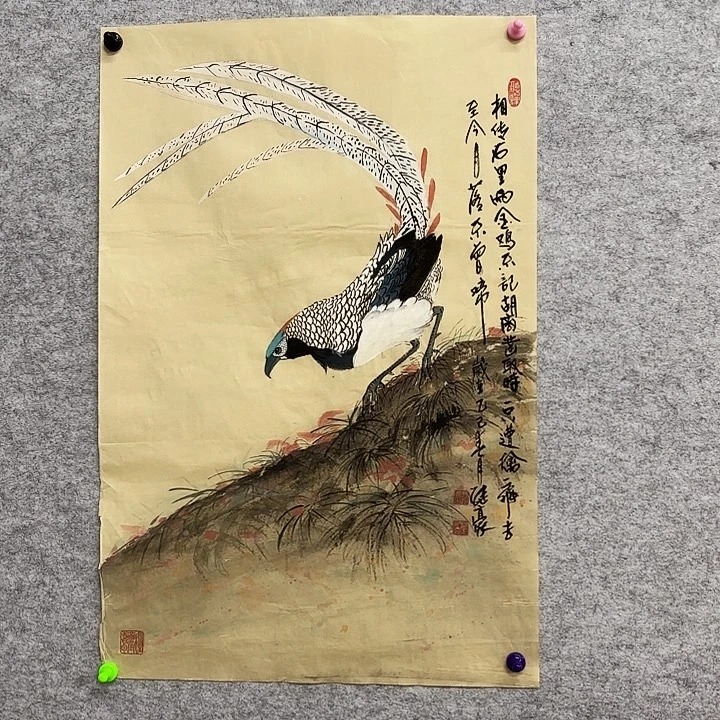 国画花鸟的翅膀和翅膀