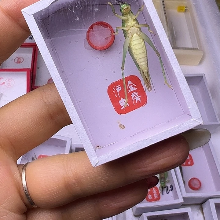 鑫***行哈哈哈哈哈哈哈哈哈哈哈哈哈