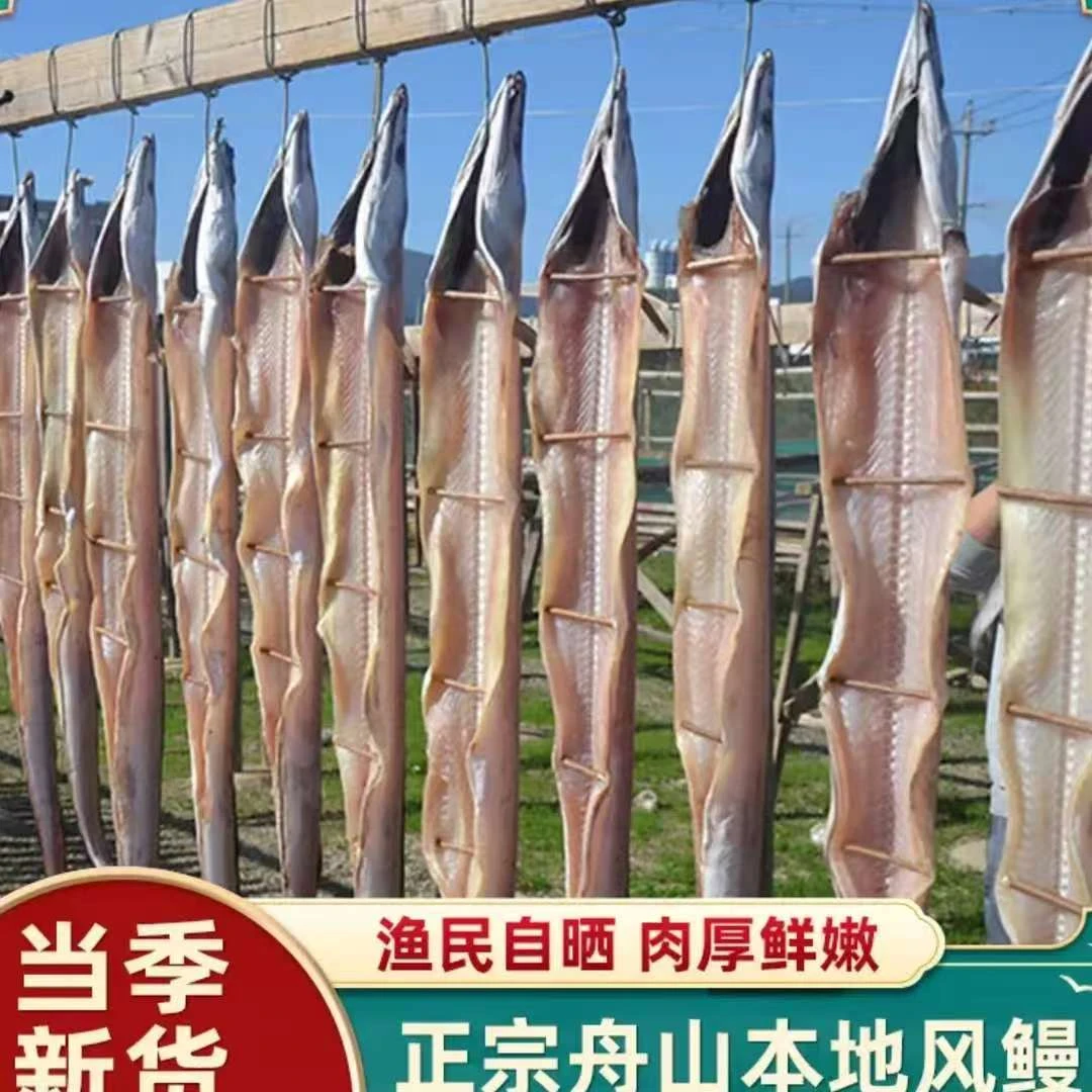 【顺丰包邮】舟山海鲜 风鳗鱼筒3条（约2.5斤） 自然海风吹干晒场直发