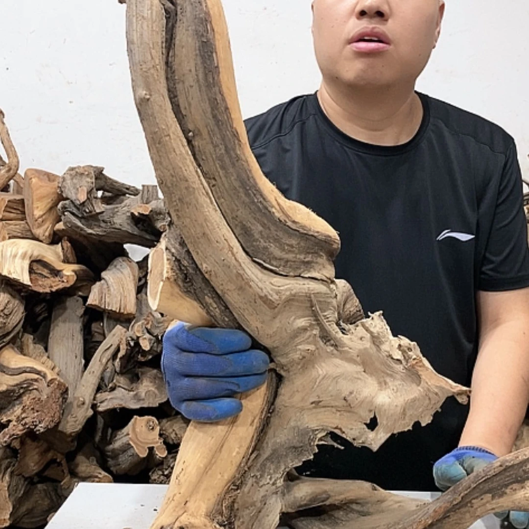 【闪购商品】柏木精****》我们都是好孩子