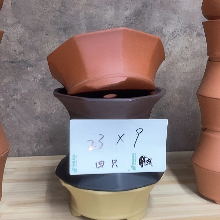 紫砂花盆我在外面