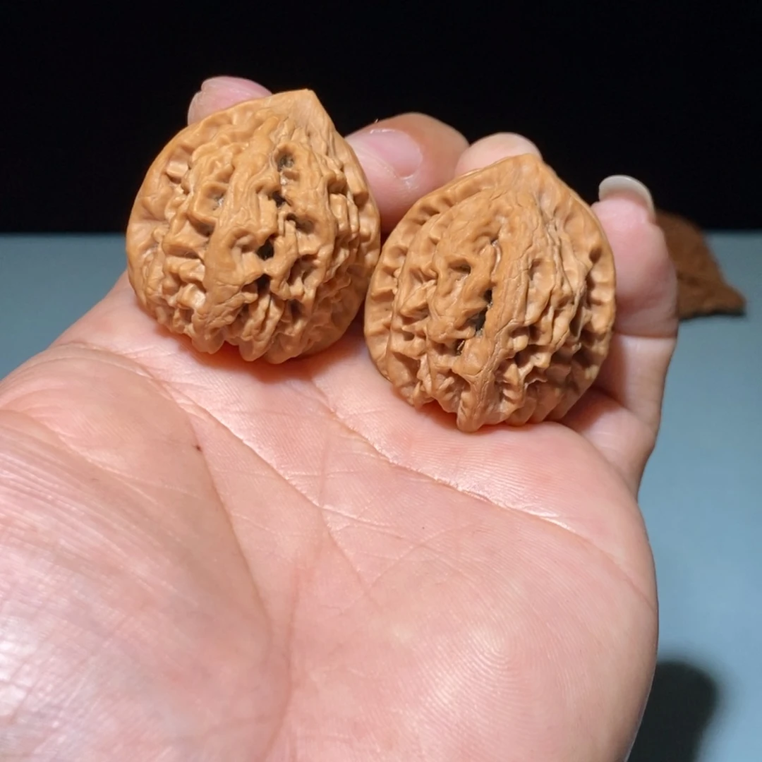 核桃36.5尺太行龙纹