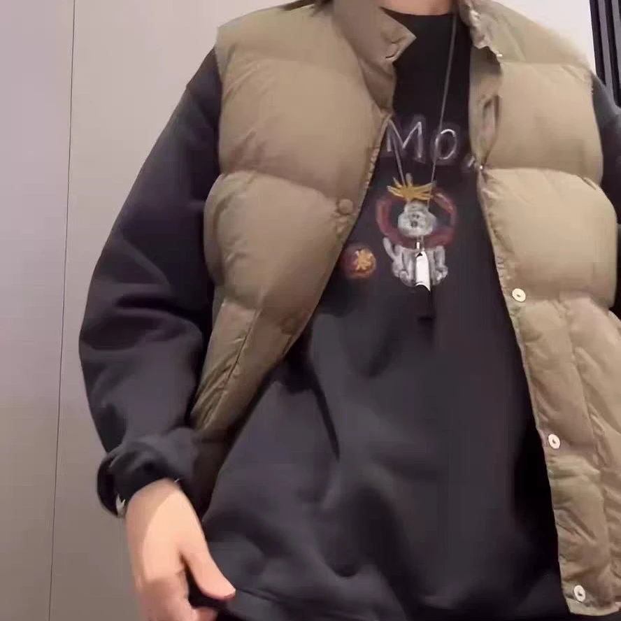 韩国东大门ablering西红柿小狗印花女加绒套头卫衣