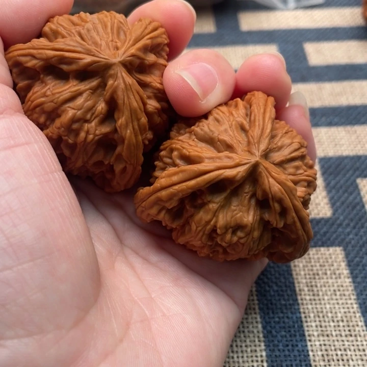 文***殘核桃白狮子45核桃
