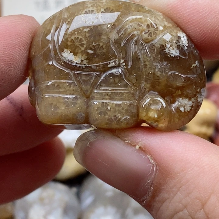 颈饰未镶嵌硅化珊瑚（珊瑚玉）有瑕