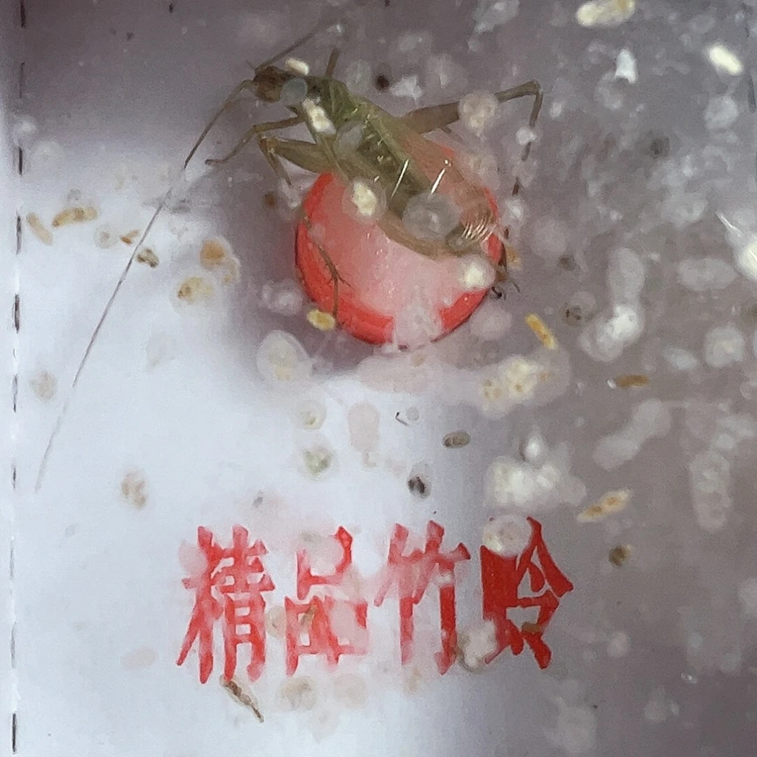 哈哈哈哈哈天水两个