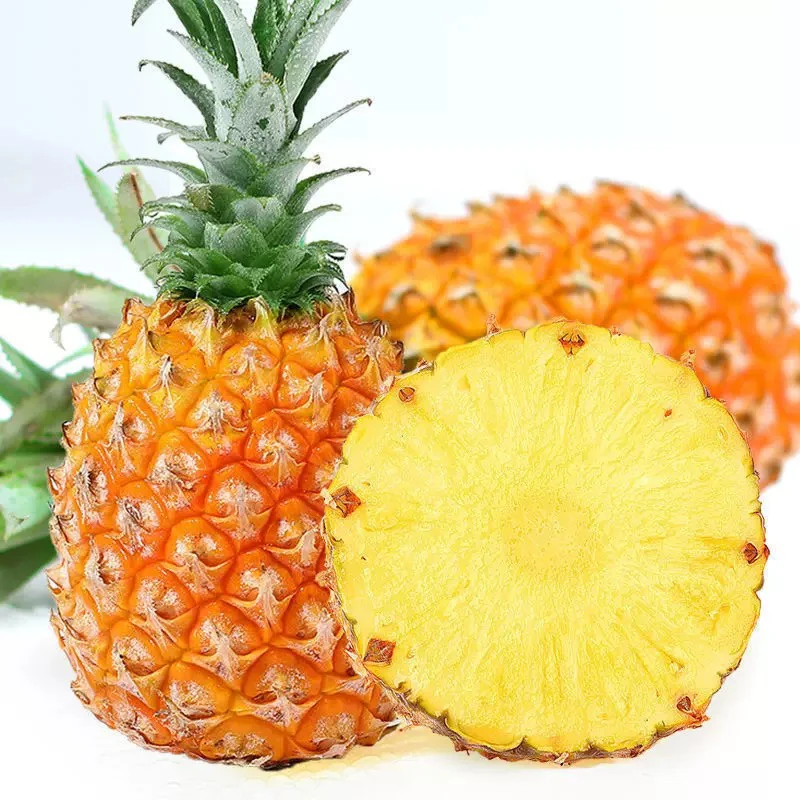 海南菠萝当季菠萝脆甜多汁到手4个乌市九鼎直发