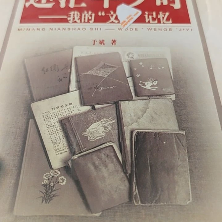 迷茫年少时（务必塑封务必塑封）