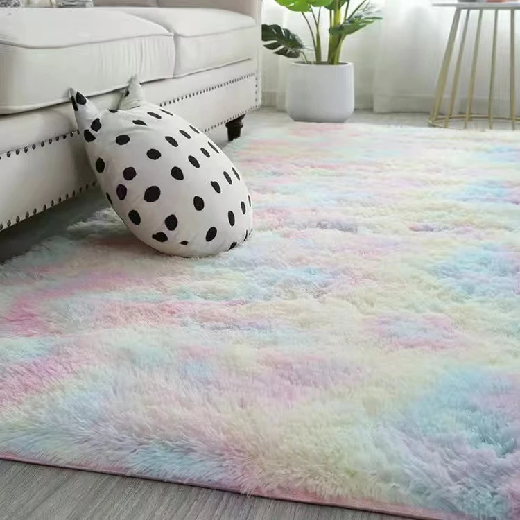 加厚地毯卧室少女耐脏客厅床边毛毯门垫飘窗垫子地垫房间满铺