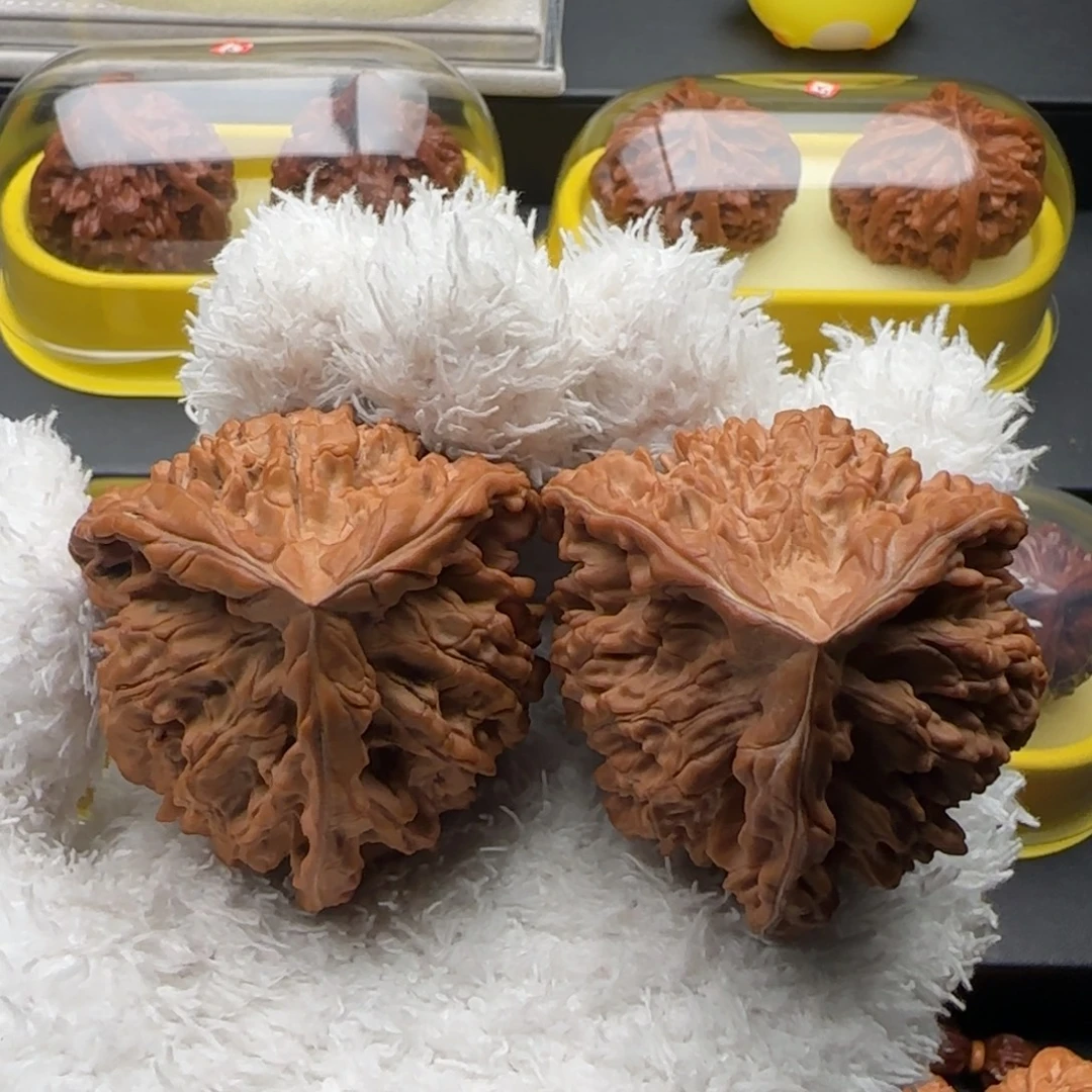 文玩核桃把件官帽奔全品50