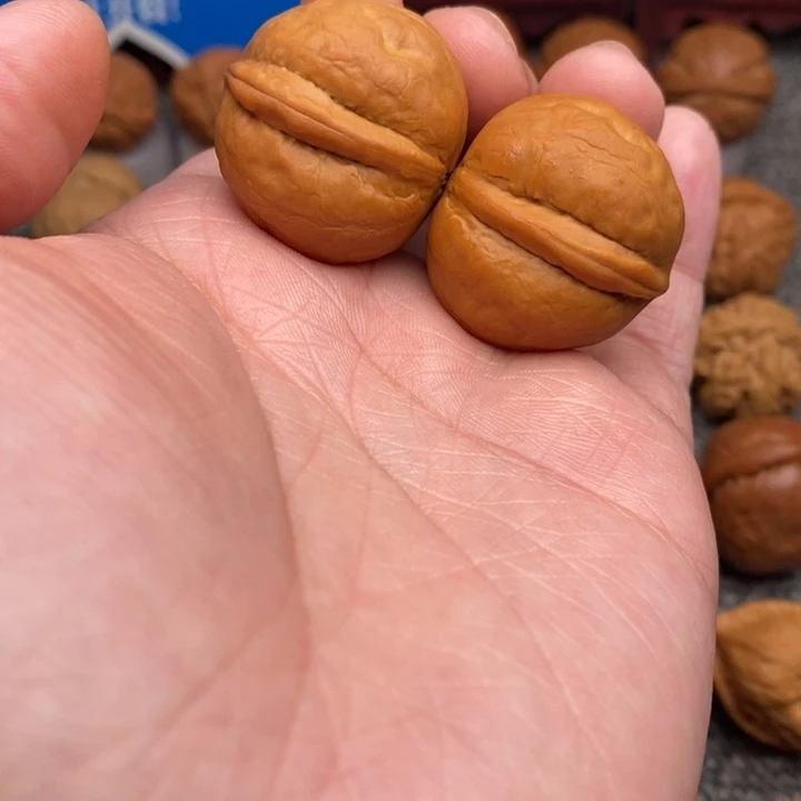 文玩核桃把件小海豚