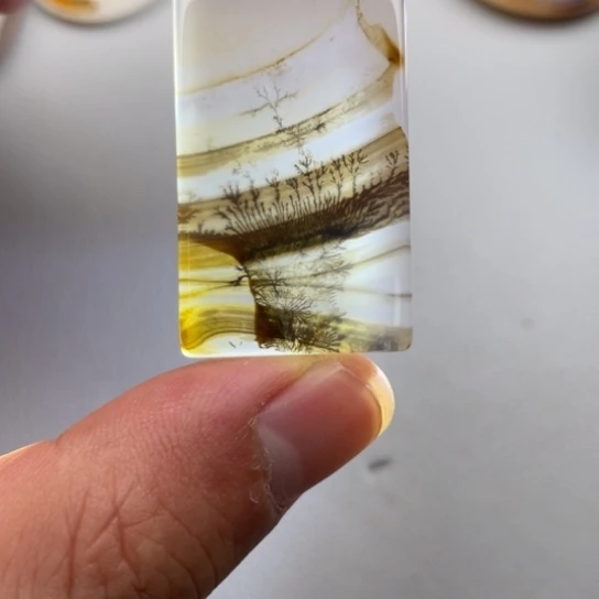 玛瑙/玉髓颈饰未镶嵌鹿*