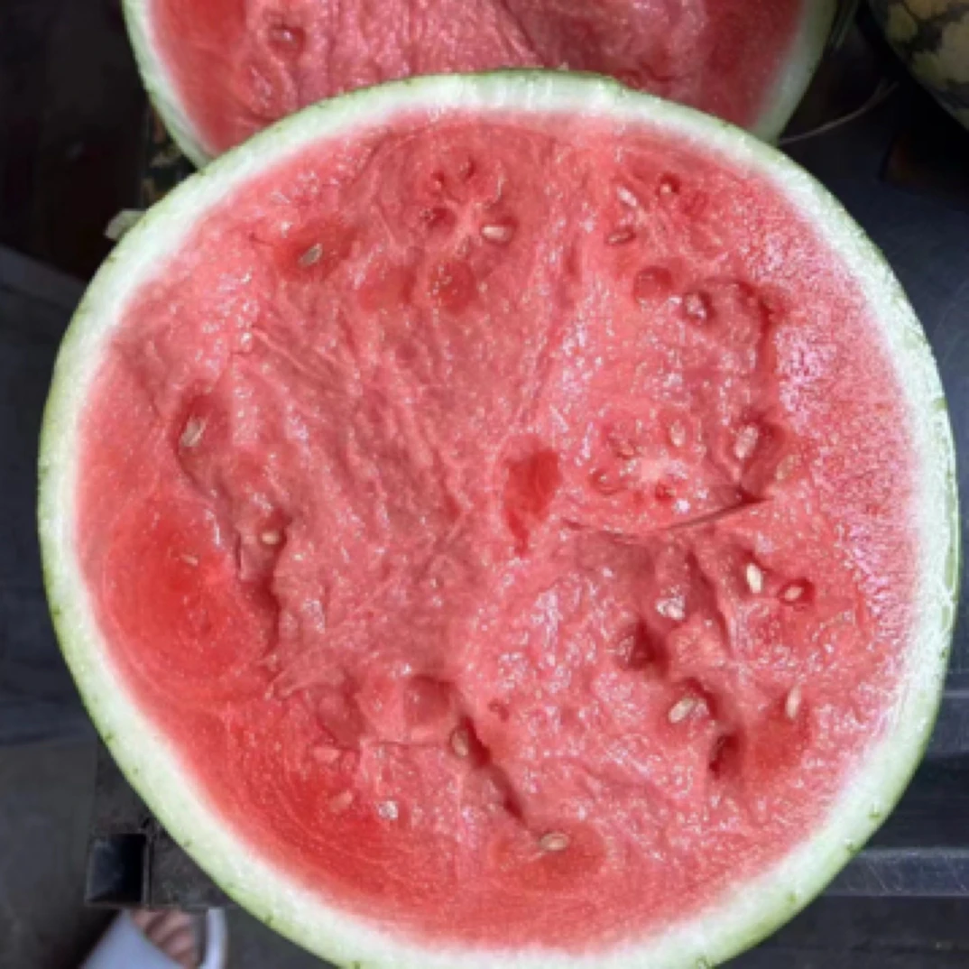 宁夏无籽美都西瓜一个（8到10斤，满38元送货，没满自提河南省