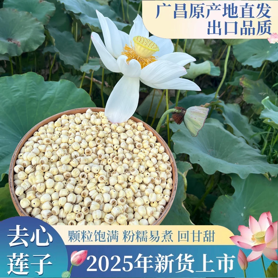 莲子2025年新货正宗广昌去芯手工白莲无熏硫无漂莲子广昌莲子干货