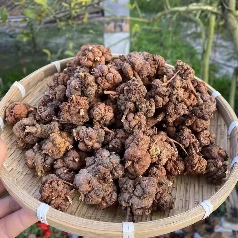 云南阿志土特产  现收（消，留，果）农产品500g