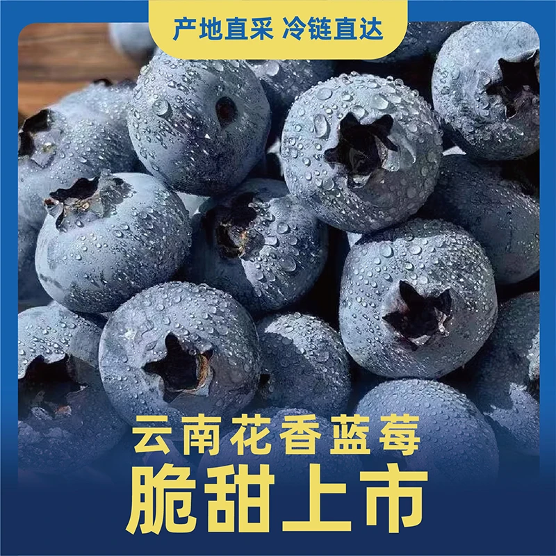【zrdd专属】新鲜云南花香蓝莓2盒 4盒   原产地直发 顺丰空运