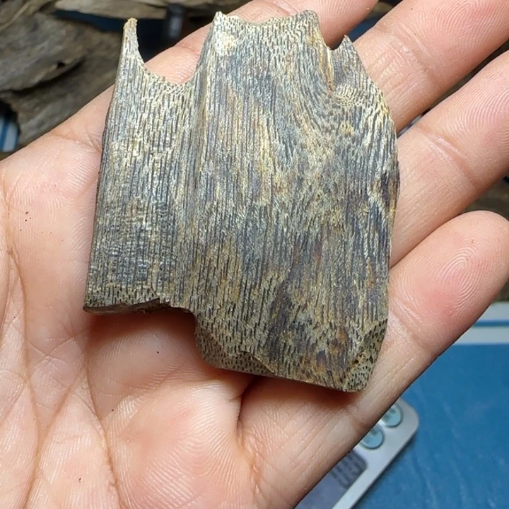 木质沉水母树紫奇虫漏吊坠10克