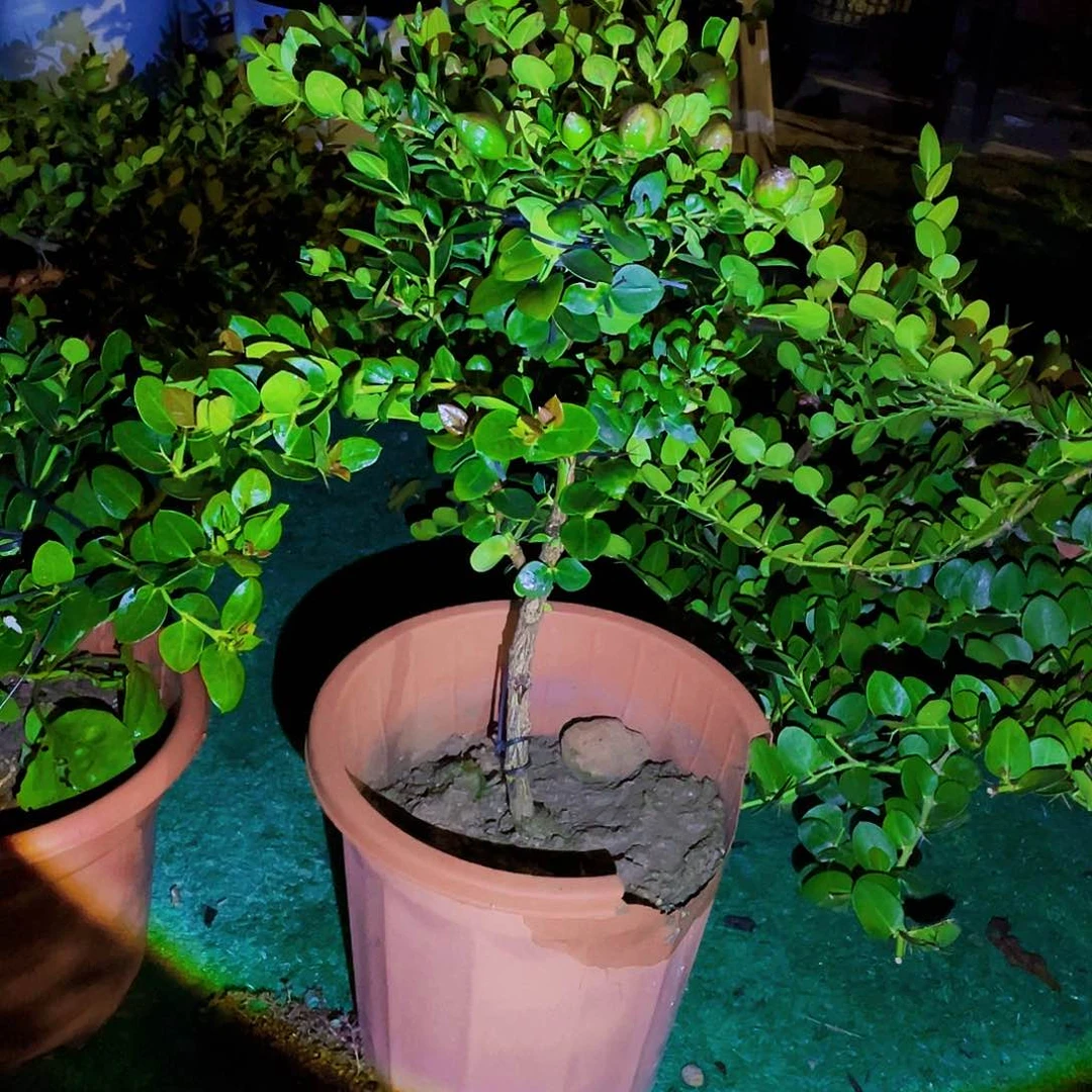 完全开放222很好很好哦期待演员的表现