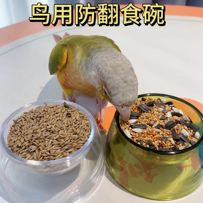 鹦鹉防翻食碗亚克力透明小宠食盆仓鼠鸟类虎皮云斑大头牡丹玄凤小