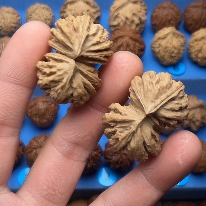 ****把件文玩核桃连体