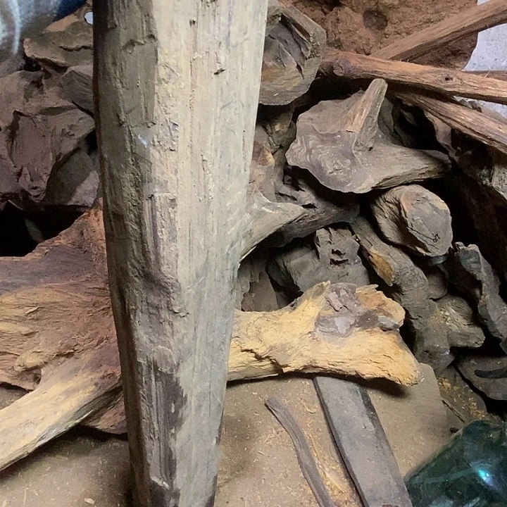 用***7贡木把件你在哪了？在家里面的东西