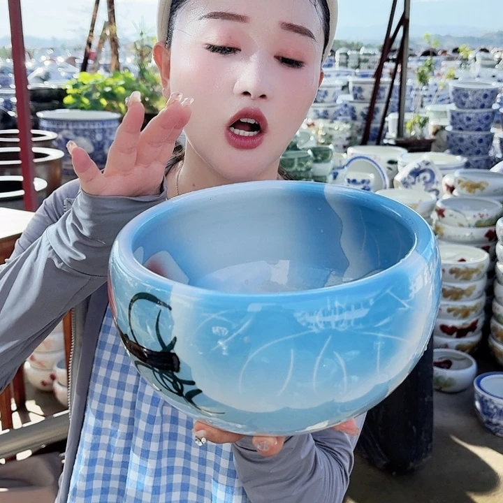 瓷片直径23厘米 高度13厘米