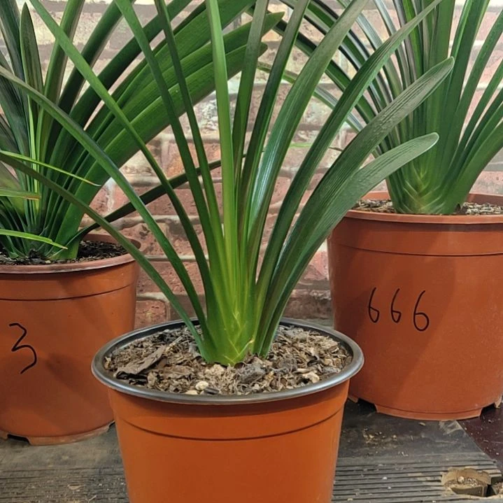 完全开放11111111111