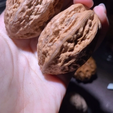 把件文玩核桃东北野生楸子小园 189