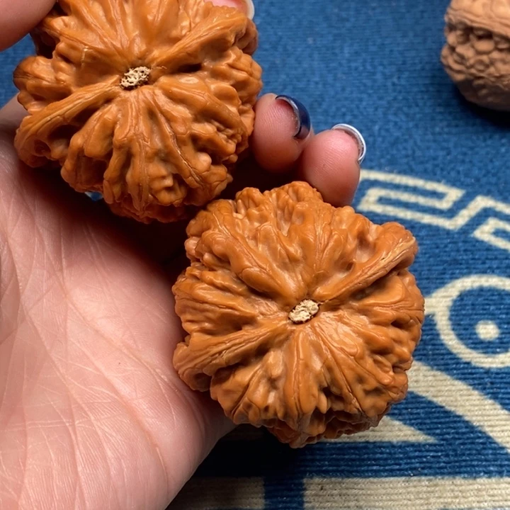 文玩核桃吊坠大粗筋