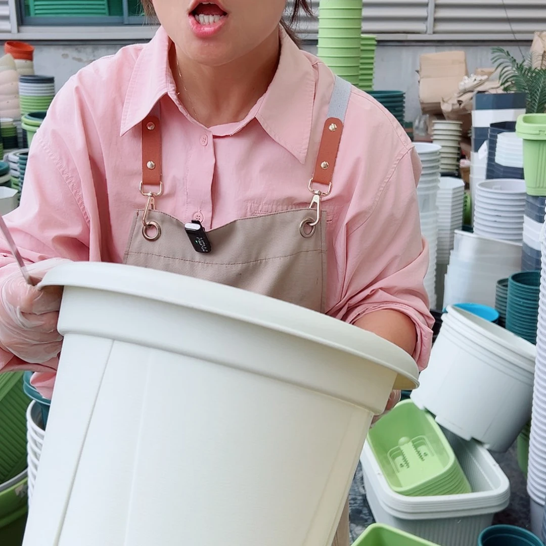 青山盆6#米白色5个无托