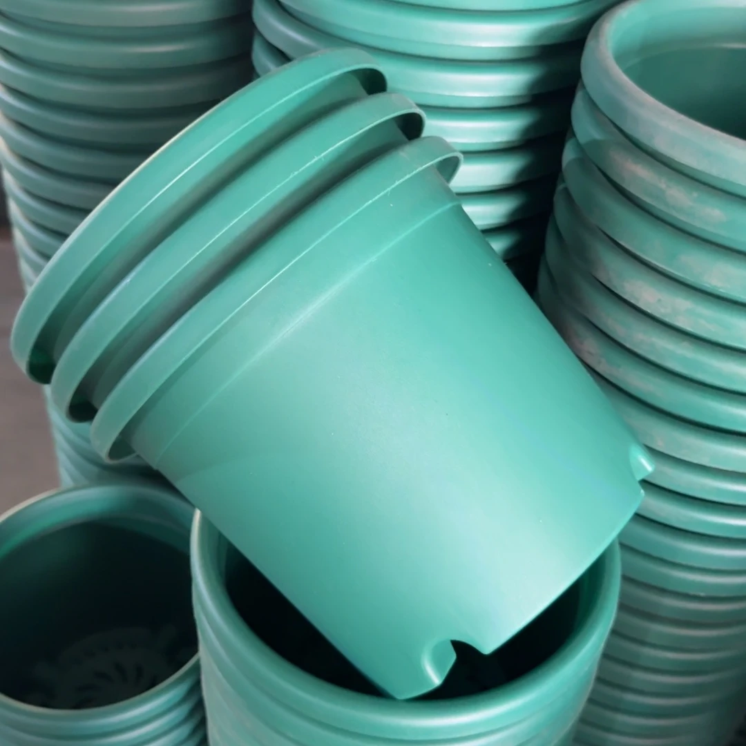 特价3#无拖祖母绿10个