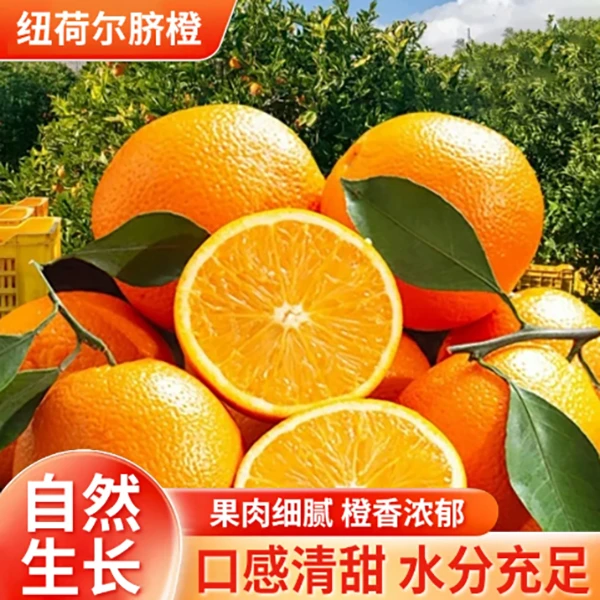 【正宗农家高山脐橙】爆甜多汁非赣南脐橙非爱媛新鲜水果现摘现发
