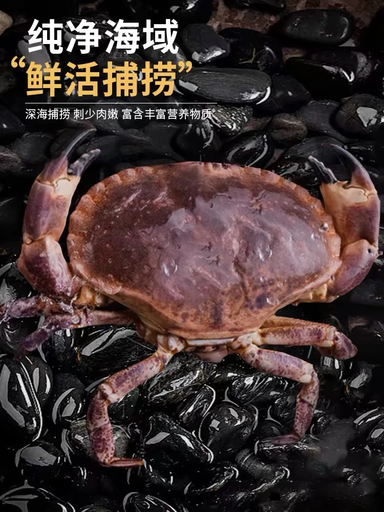新鲜面包蟹 充氧气发货 2只共2斤（保鲜不包活）个别断脚