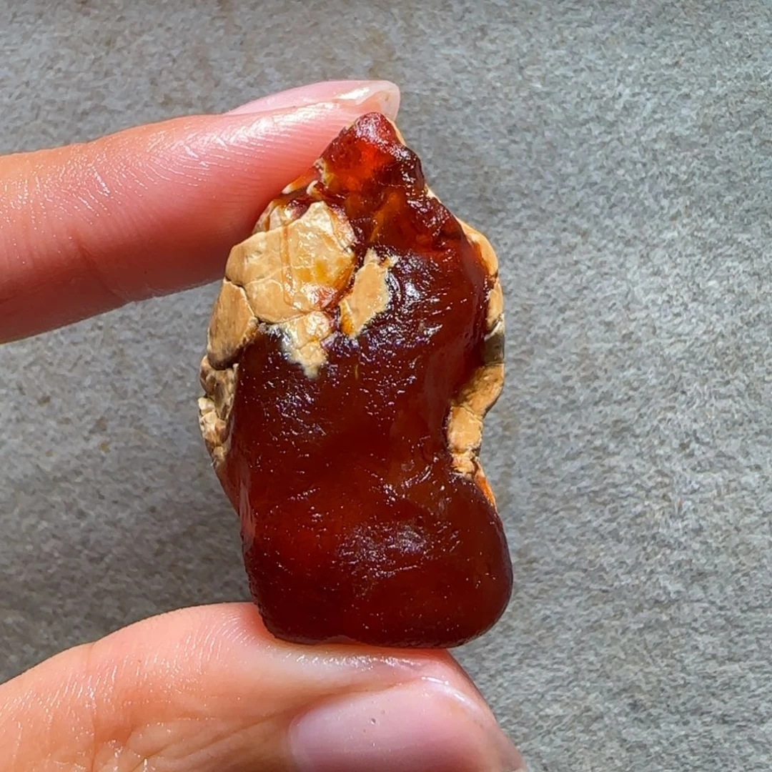 未镶嵌定制琥珀下****鱼专拍