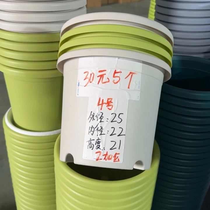 四季4#口径25灰白5个无托