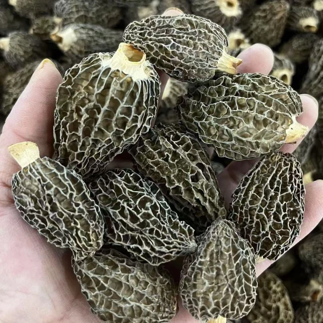 H  裕初 羊肚菌 （圆型）250g  煲汤煮粥酿肉 干货 广东汕头